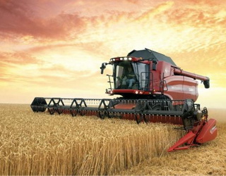 На Харківщині очікують нового рекорду у збиранні пшениці